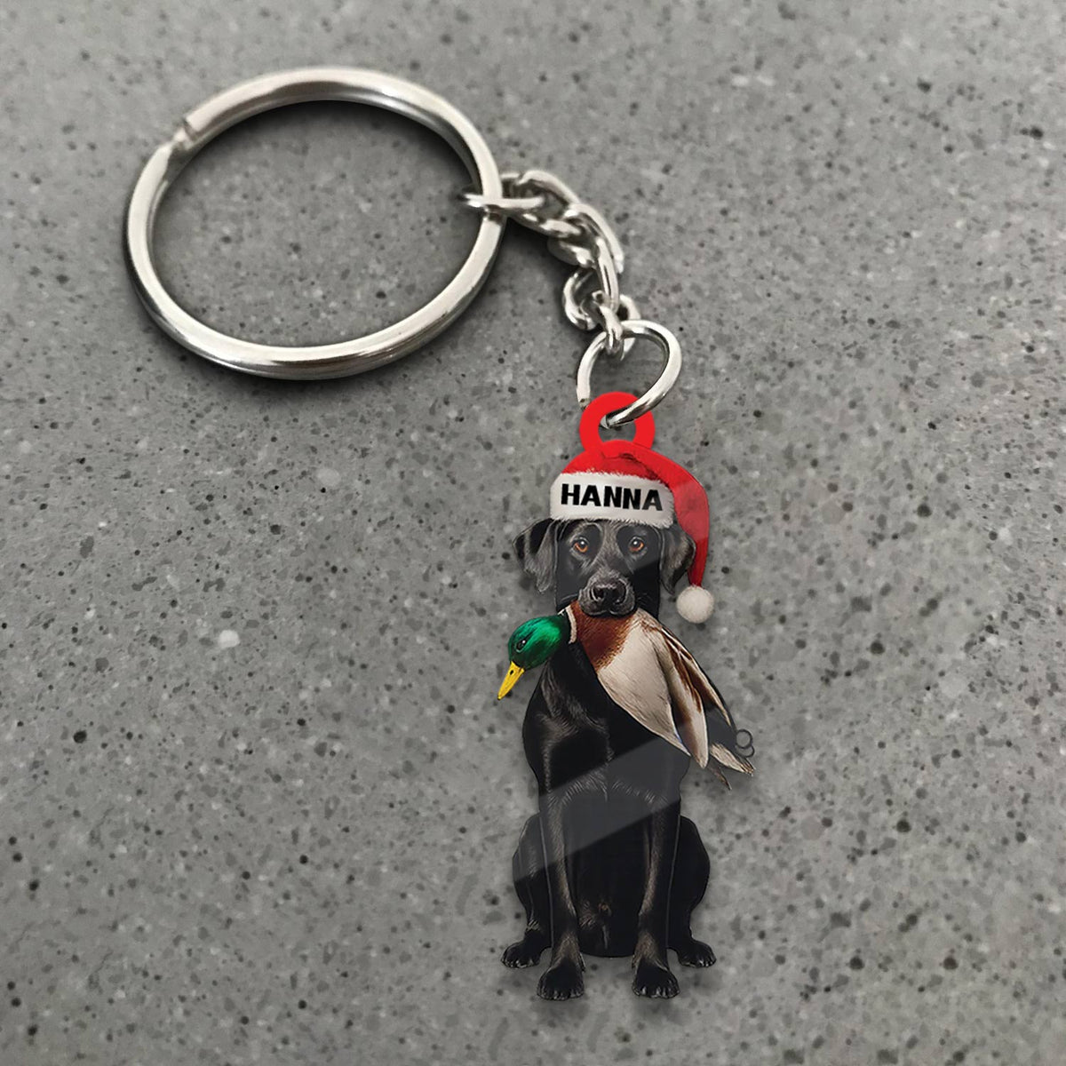Blisscorners Personalized Hunting Dog Christmas Ornament with Duck - Custom Name Lab Retriever Holiday Decor LM0411