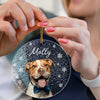 Custom Photo Christmas Puppy Picture - Personalized Stained Glass Ornament