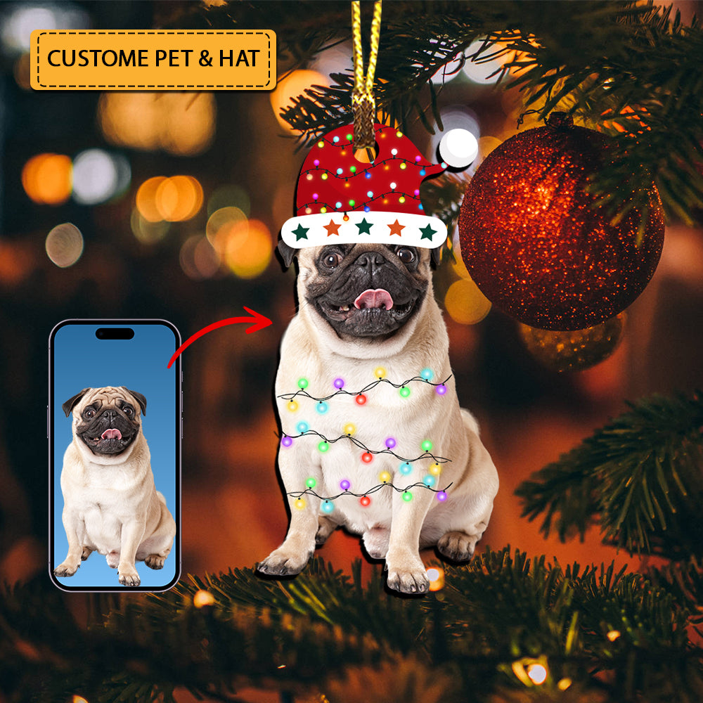 Blisscorners Pet With Hat  - Custom Photo, Personalized Acrylic Ornament - Gift For Christmas, Pet Lover Gift2D Flat LM2111