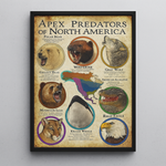 Blisscorners Animals USA Hunting Framed Canvas LM2611