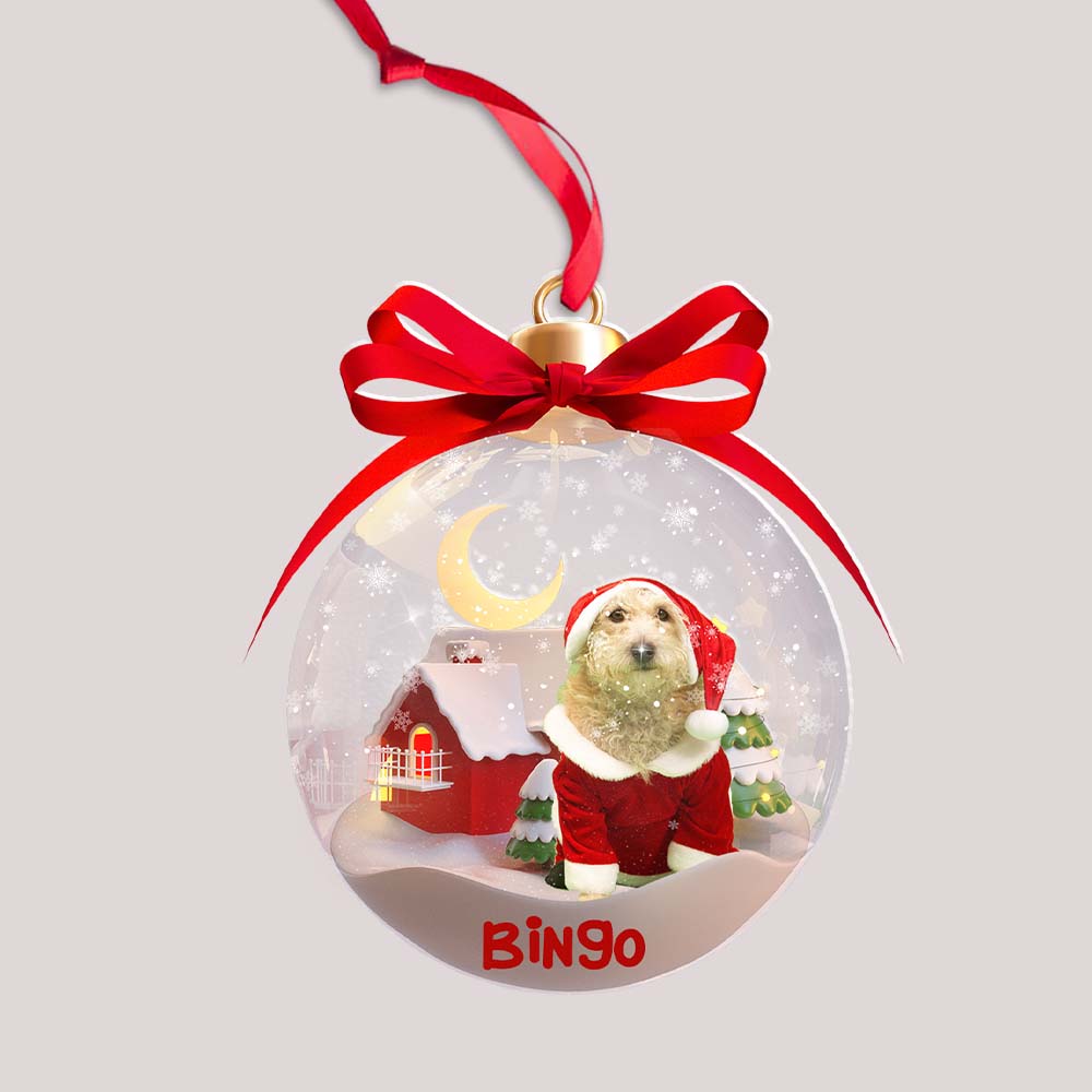 Blisscorners Christmas Pet In Ball - Custom Photo And Name, Personalized Acrylic Ornament - Gift For Christmas, Gift For Pet Lover2D Flat LM2111
