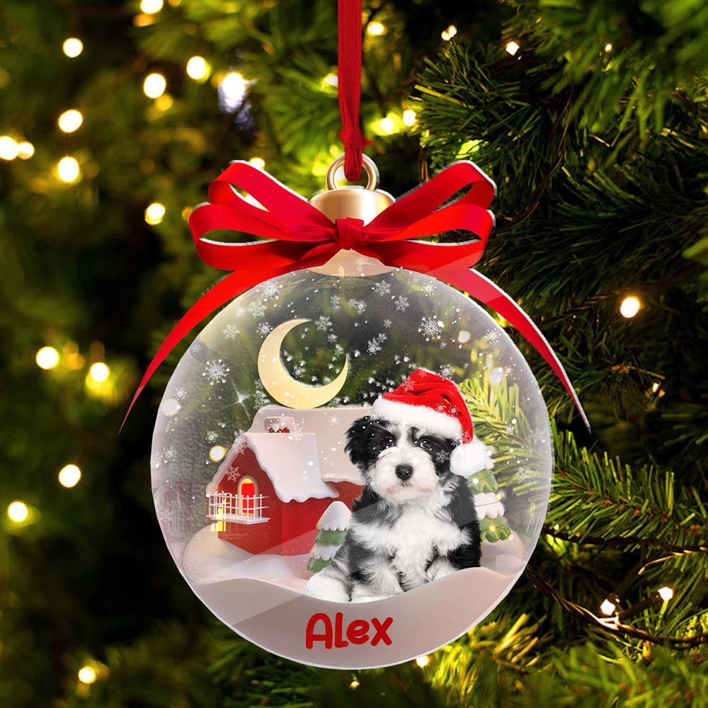 Blisscorners Christmas Pet In Ball - Custom Photo And Name, Personalized Acrylic Ornament - Gift For Christmas, Gift For Pet Lover2D Flat LM2111